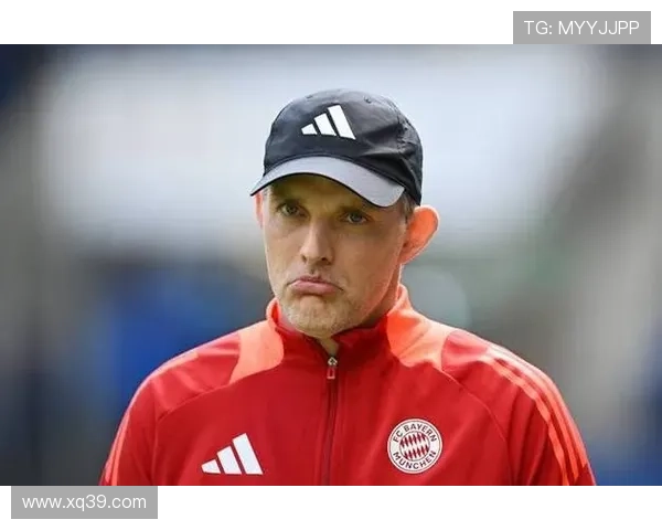 图赫尔认帕尔默第二定位模糊